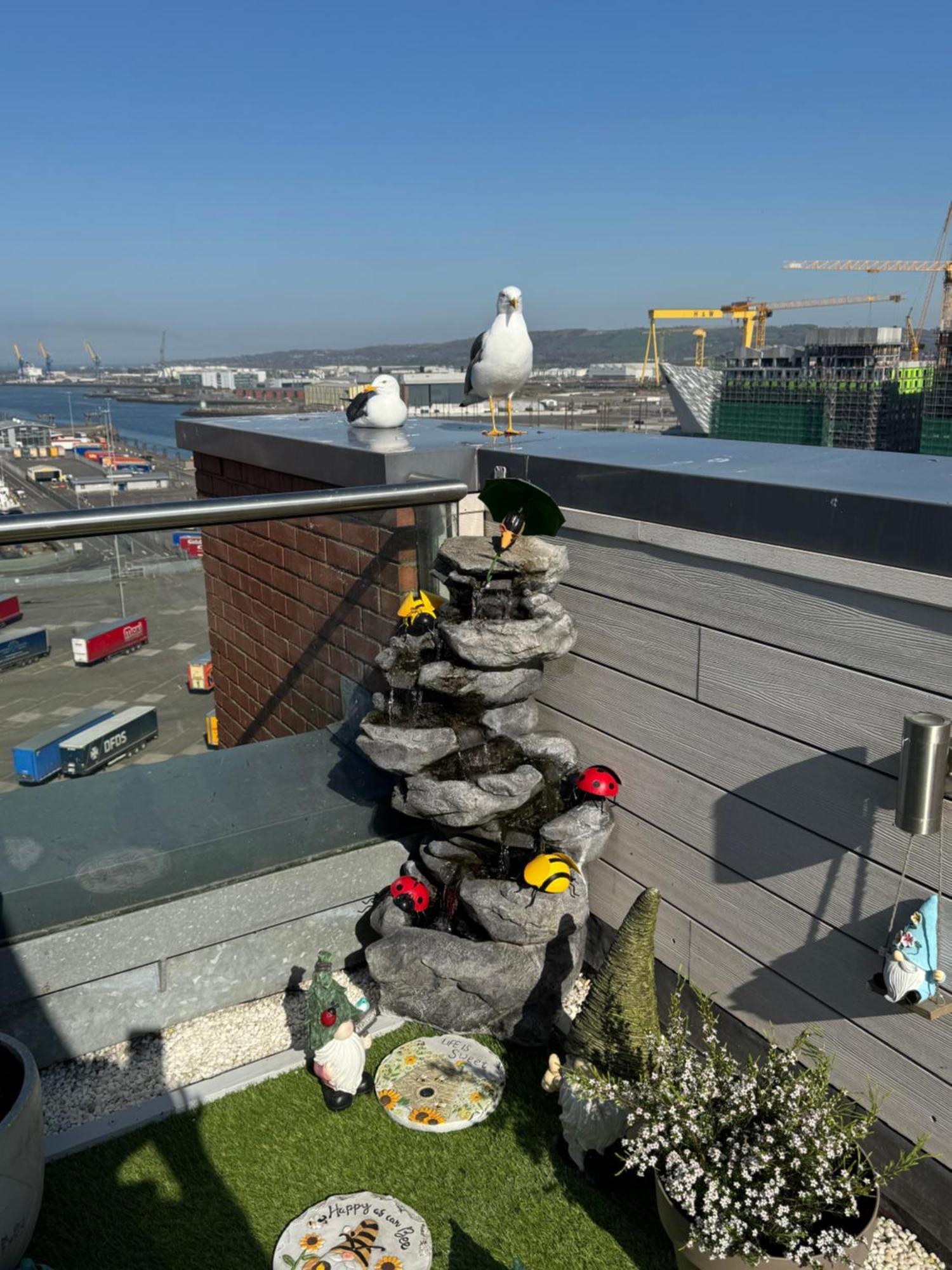 James Clow Bed & Breakfast Belfast Luaran gambar